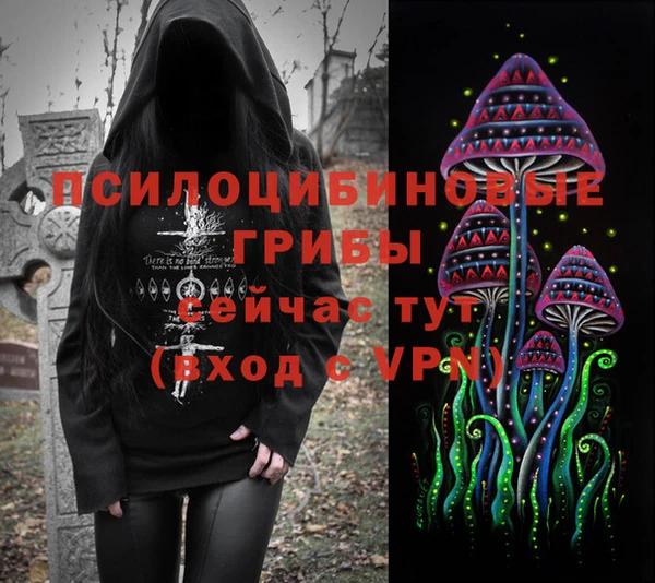 ешки Бронницы