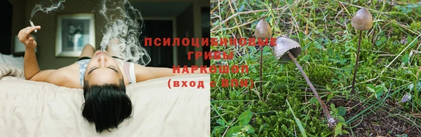дистиллят марихуана Бородино