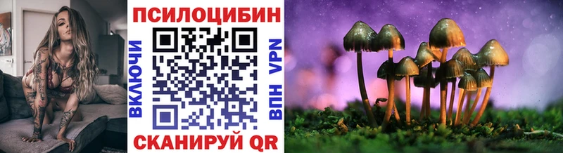 наркотики  Ростов  Галлюциногенные грибы Psilocybine cubensis 